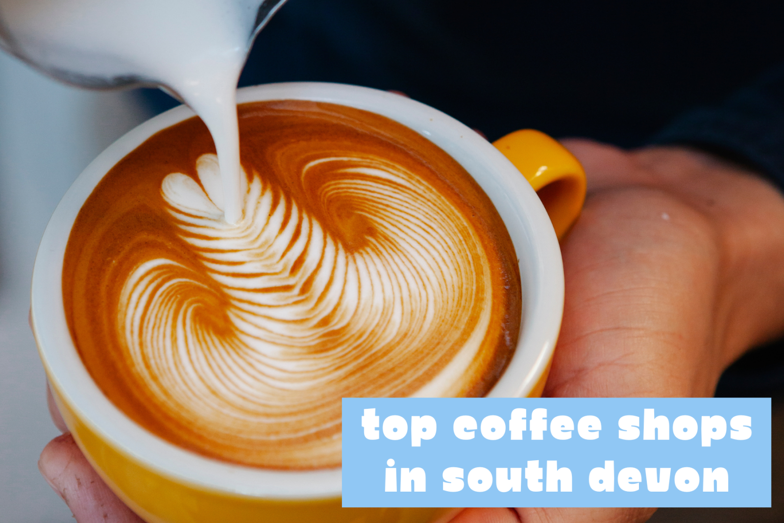 coffee shops in South Devon